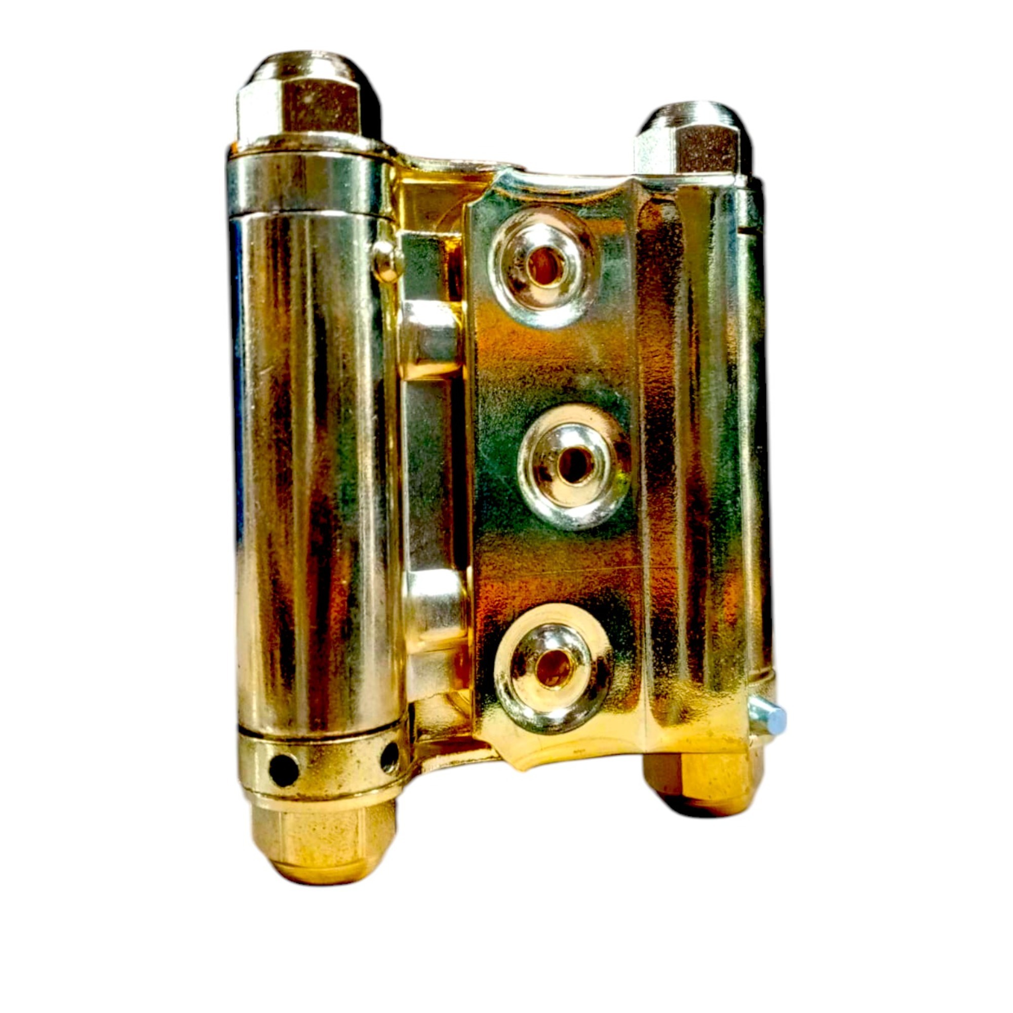 BEŞEL YAYLI MENTEŞE SARI NO:29